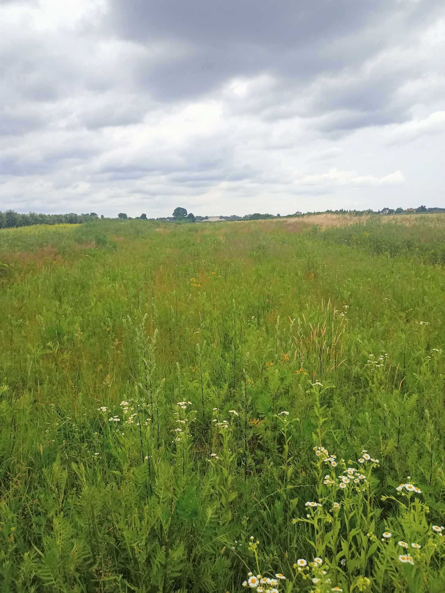 Działka rolno-budowlana Gruszczyn gm Magnuszew