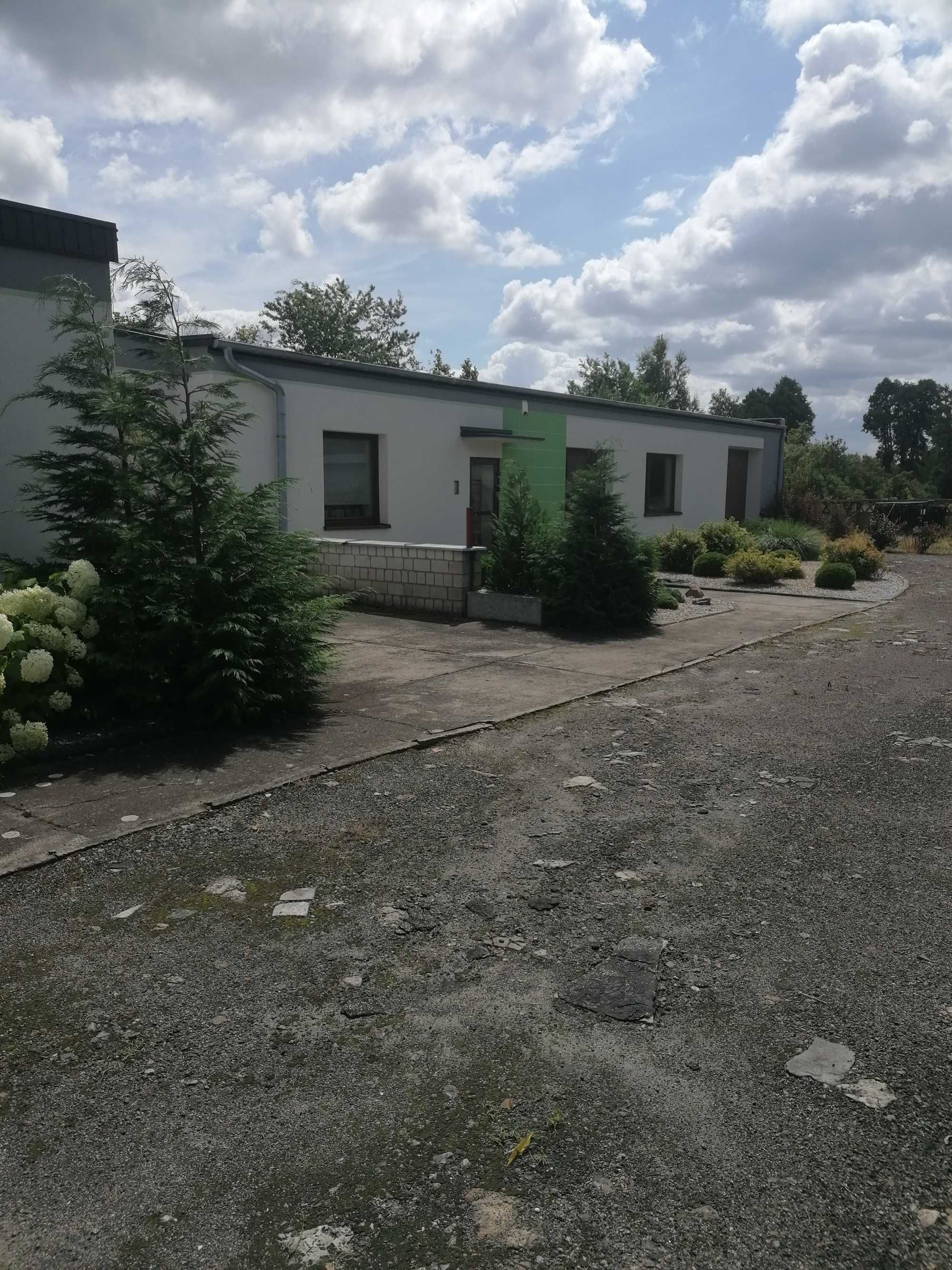 Hala do wynajęcia