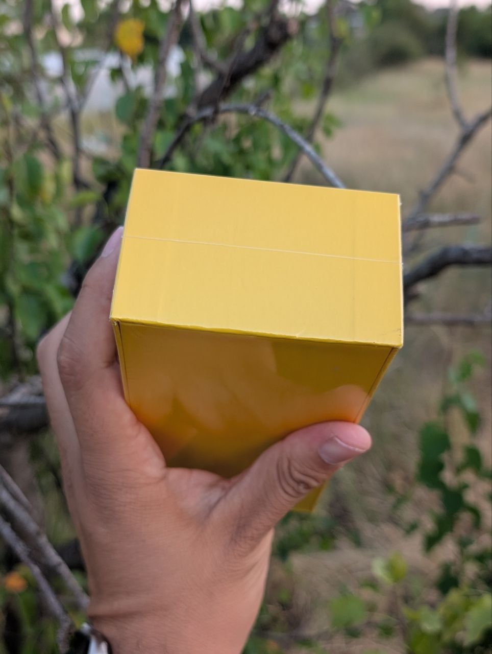 Poco m6 5g (8/256 глобальная версия Masterbox запечатанный)
