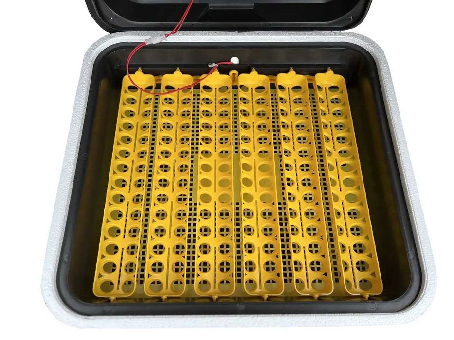 Інкубатор автоматичний Теплуша Euro 88 ТАВ 12 (220/12в) комб.корпус
