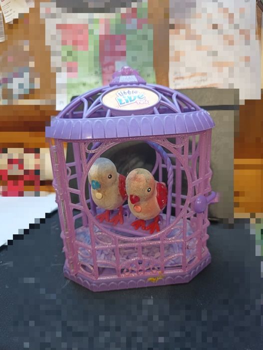 ! ! ! Little live pets papugi ! ! !
