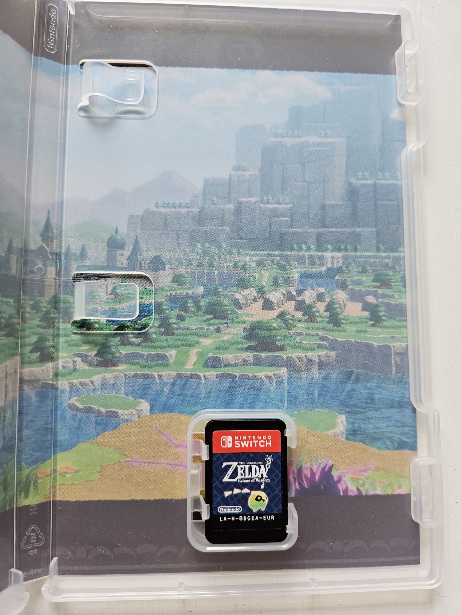 Zelda Echoes of Wisdom Nintendo Switch 2