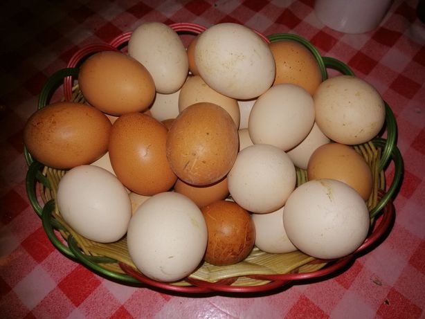 Jajka wiejskie sciółkowe 10 sztuk Dowóz