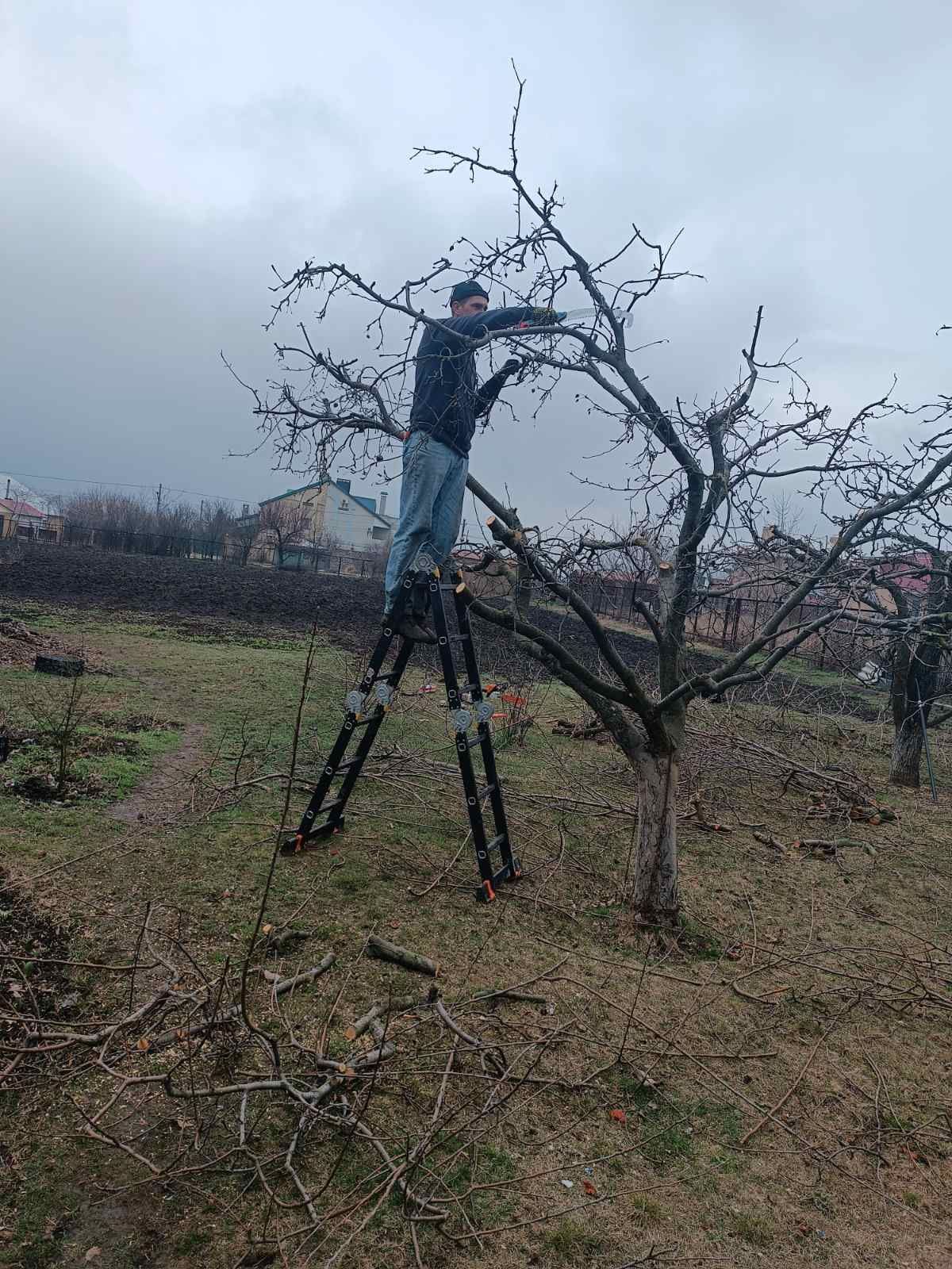 Покос травы, уборка участка под ключ, спил деревьев, кронирование.