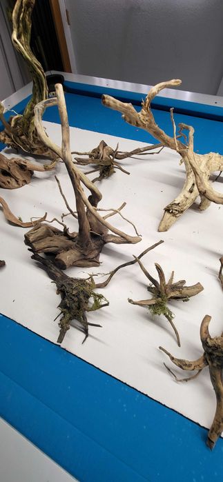 Troncos e raizes para aquario