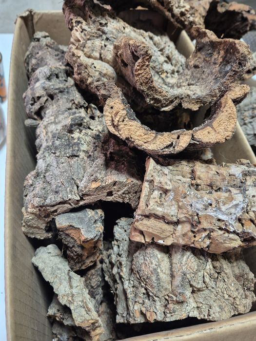 Korek terrarystyczny