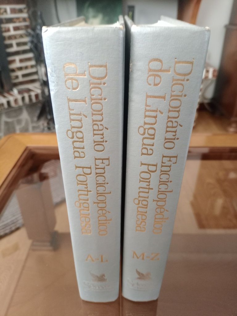 Dicionário enciclopédico. Dois volumes