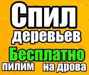 Спил Деревьев Любой сложности Обрезка фруктовых от 100грн шт.