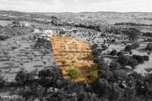 Quintinha de 5750 m2 c/ ruína habitacional | Montemor-o-Novo