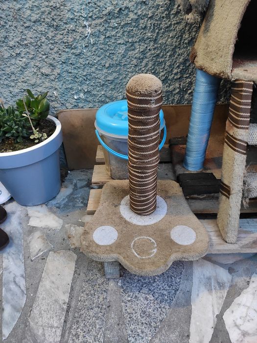 Arranhador Gato Multiplataforma com cama e abrigo + Extras