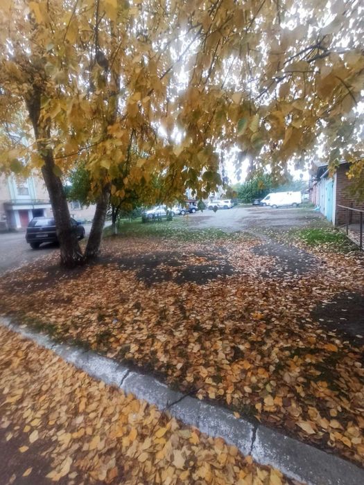 Продаж красунечки-квартири в центрі м. Городище. Новинка