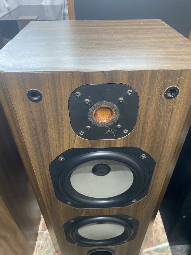 Jm lab Focal DB 29