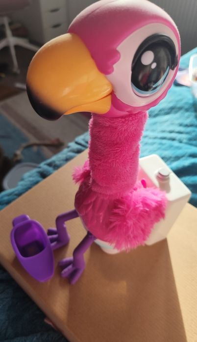 Flaming na kibelku little live pets