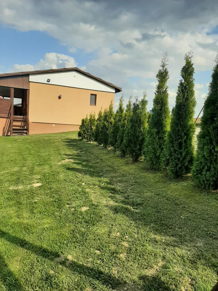 Wynajmę domek nad jeziorem