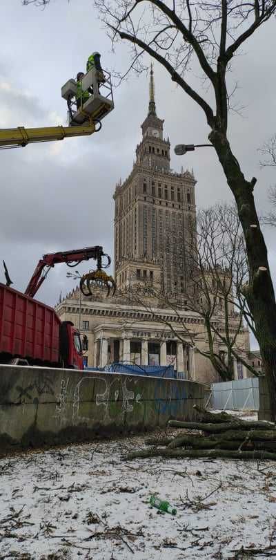 Wywóz gałęzi, odpadów zielonych, liści, trawy, karpy, kontener