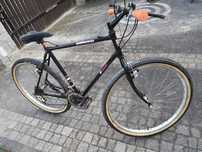 Rower Shimano Retro