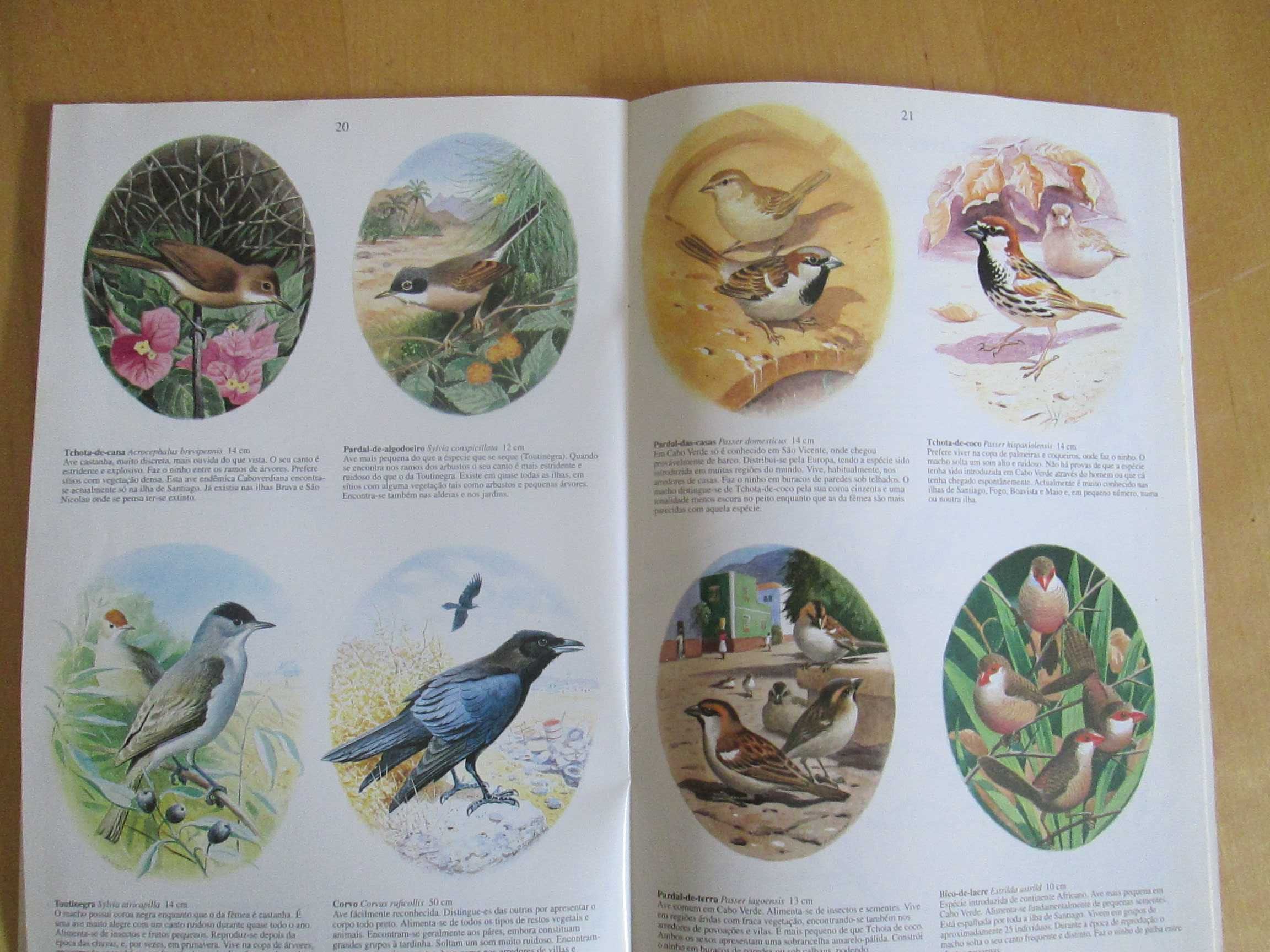 Aves de  Cabo Verde
