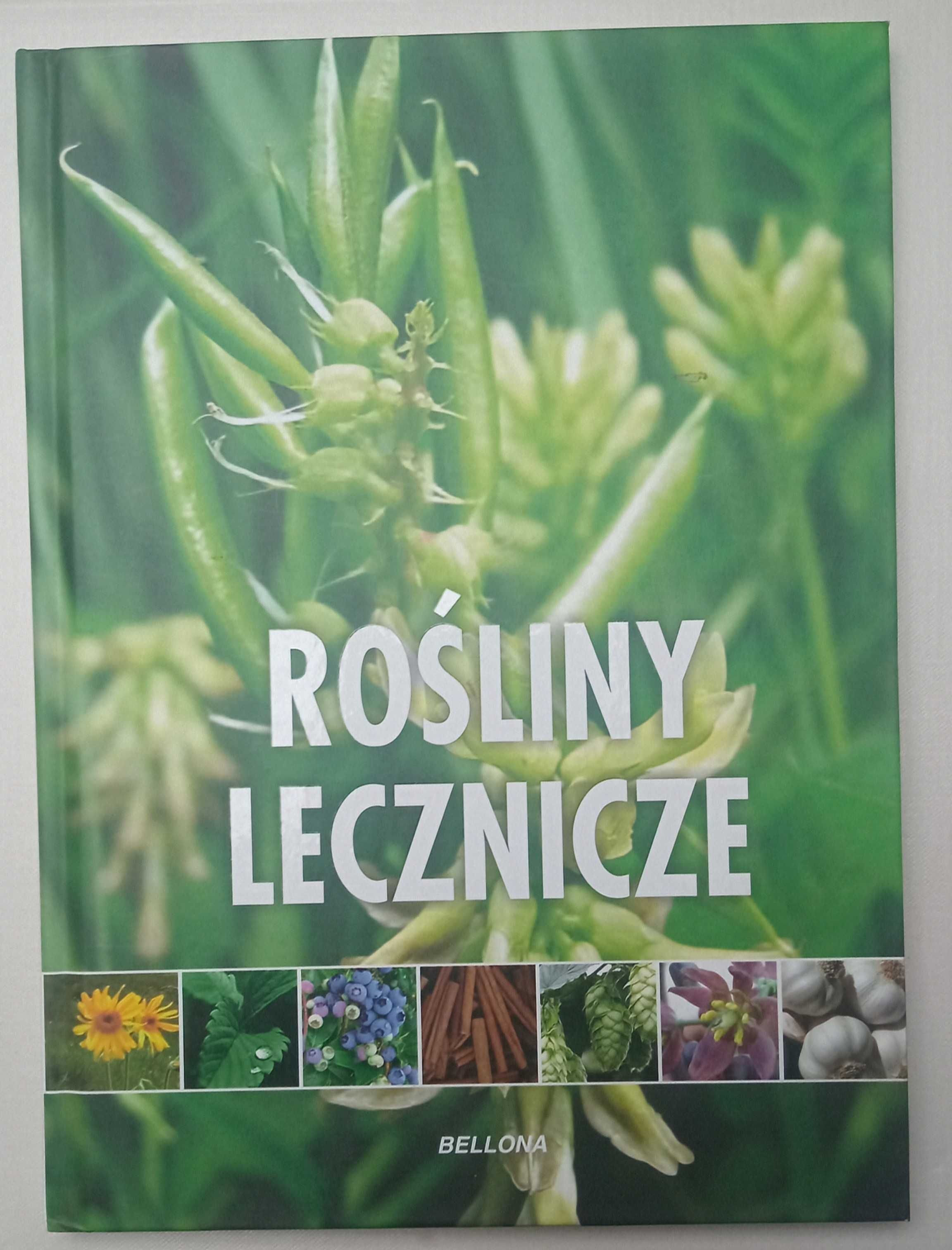 Rośliny lecznicze Praca zbiorowa