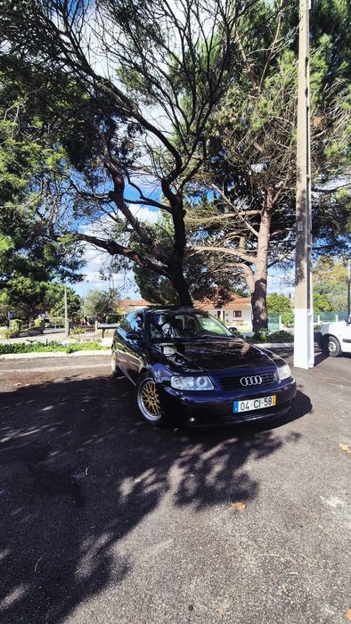 Audi A3 130 cv motor pd