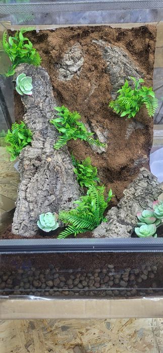 Terrarium 40x40x60 z wystrojem, gekony, Wysyłka