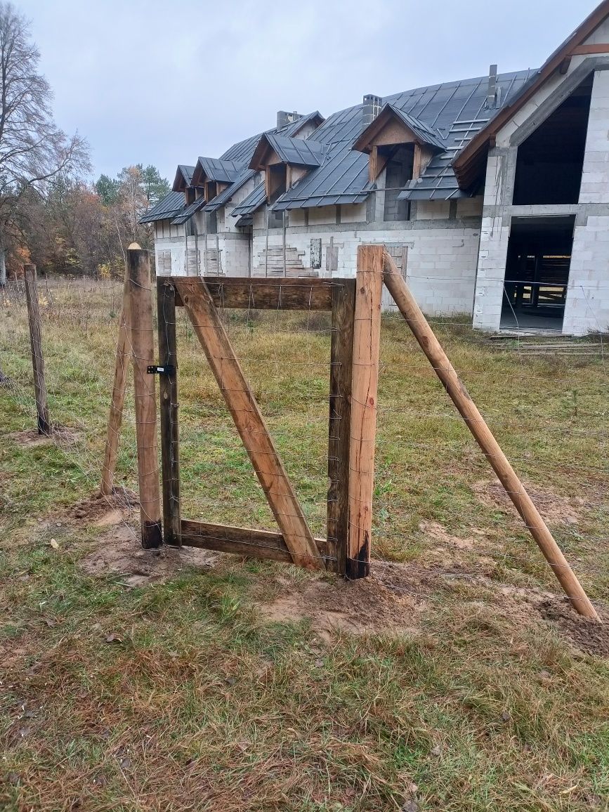 Ogrodzenie Leśne Tymczasowe Ogrodzenie Budowlane