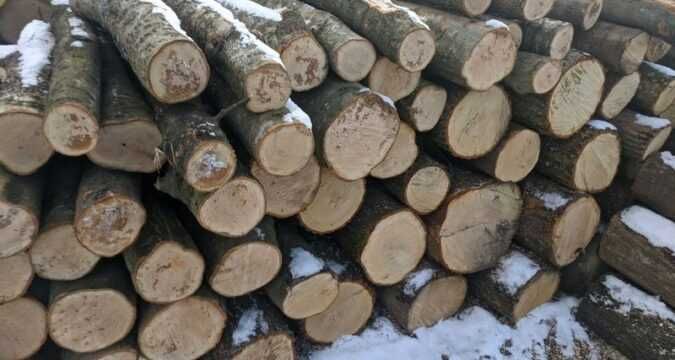 Продам дрова твердих порід.
