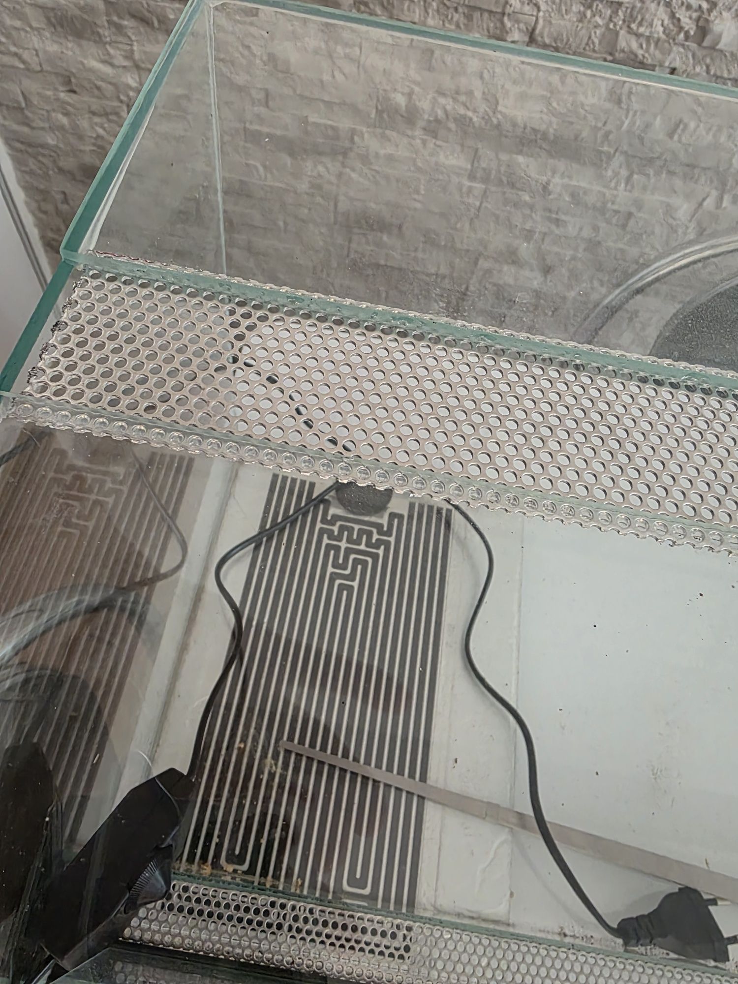 Terarium dla weza