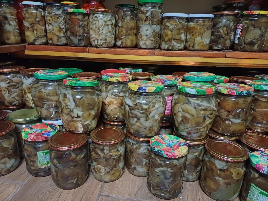 Мариновані опеньки 2025 року