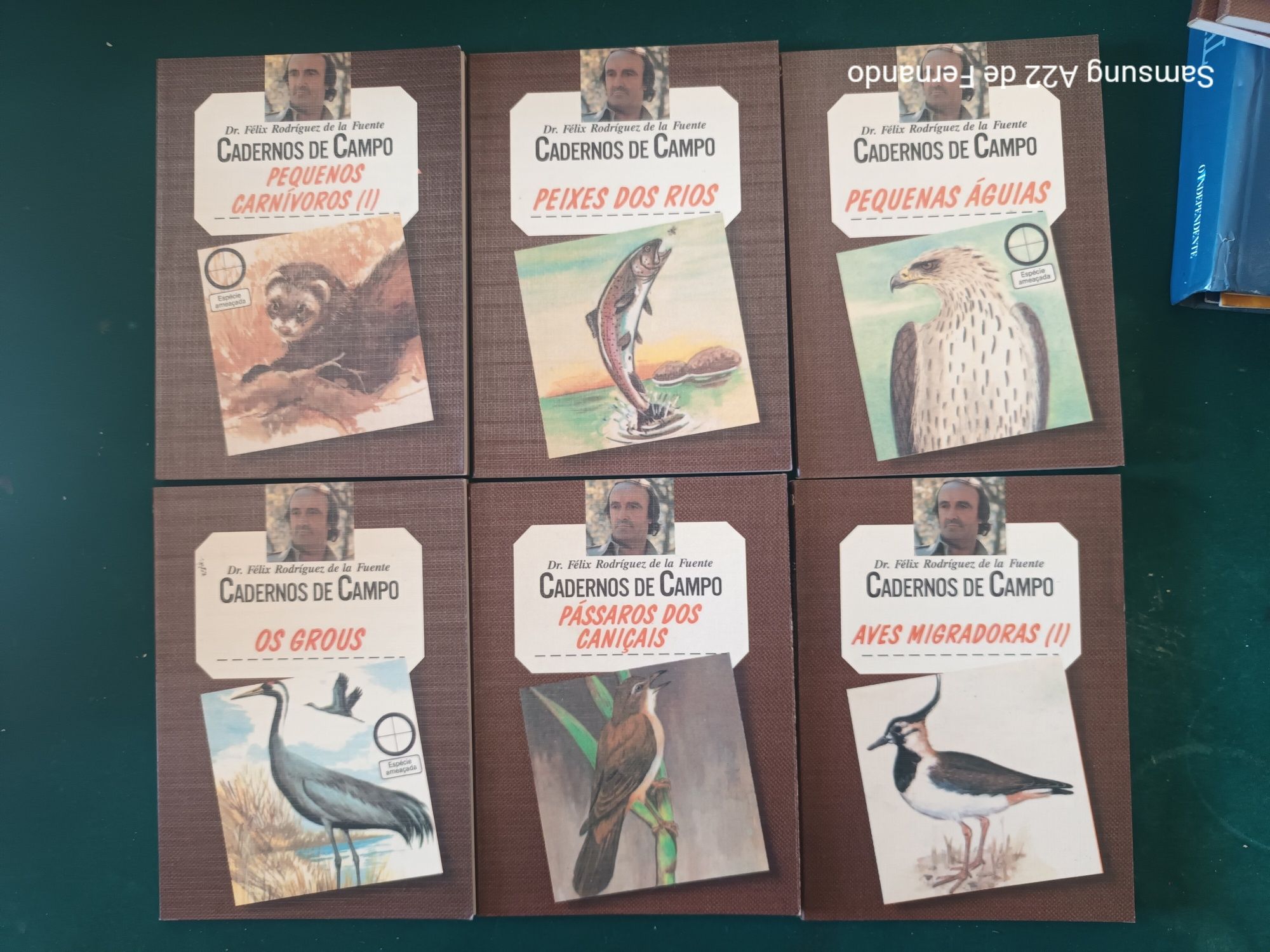 Cadernos do campo