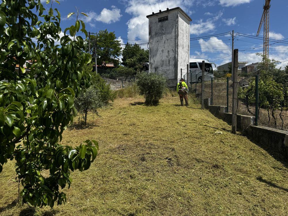 Limpezas Terrenos Florestais e Agrícolas