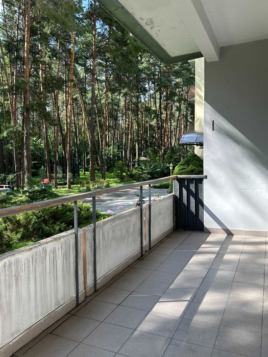 Будиночок у сосновому лісі біля Києва з мангалом і альтанкою