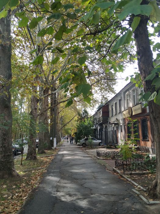 Оренда в центрі нежитлового приміщення