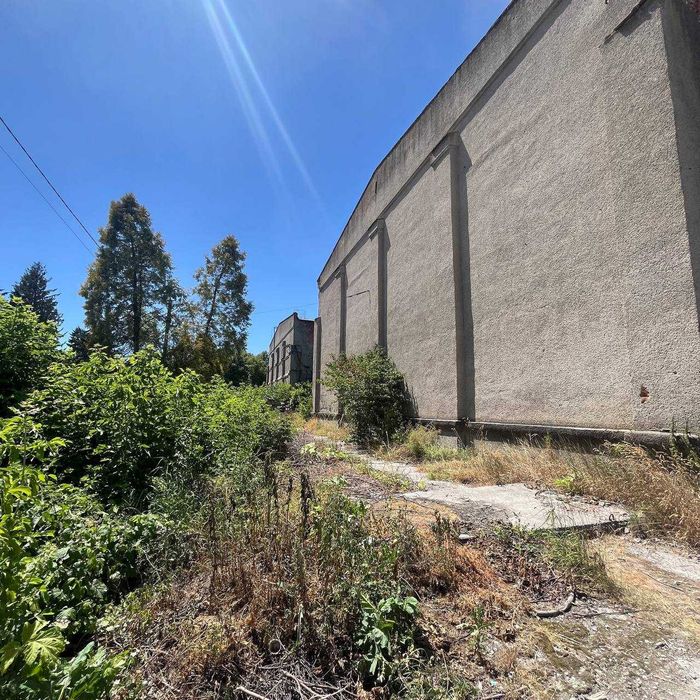 Шпоновий завод на трасі І.Франківськ - Львів