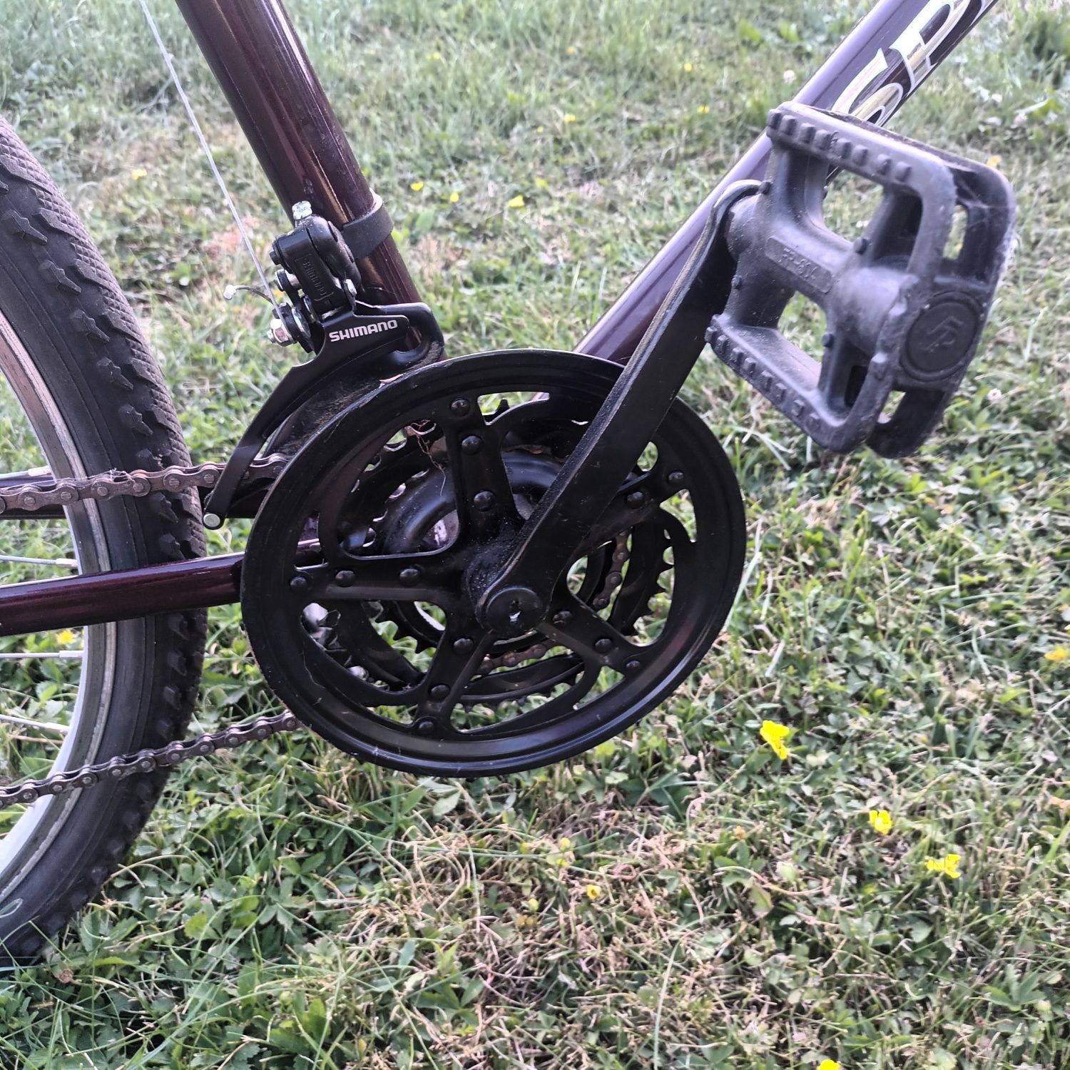 Rower męski Spectre Crusader