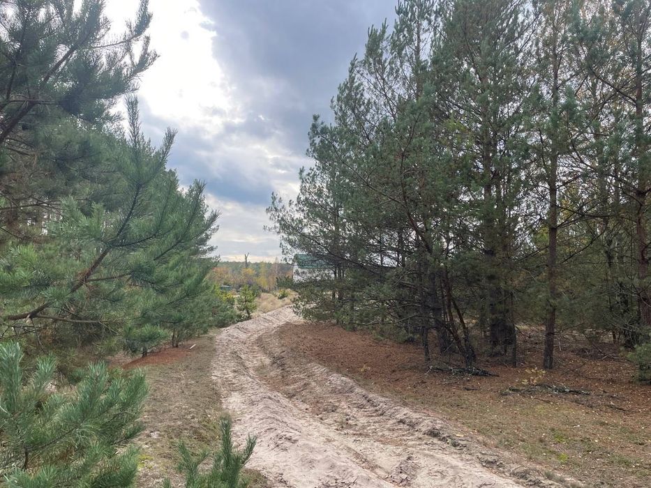 Продається земельна ділянка в с. Абрамівка, Київська область
