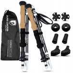 Kijki turystyczne Alpin Loacker Carbon Pro 105-120cm