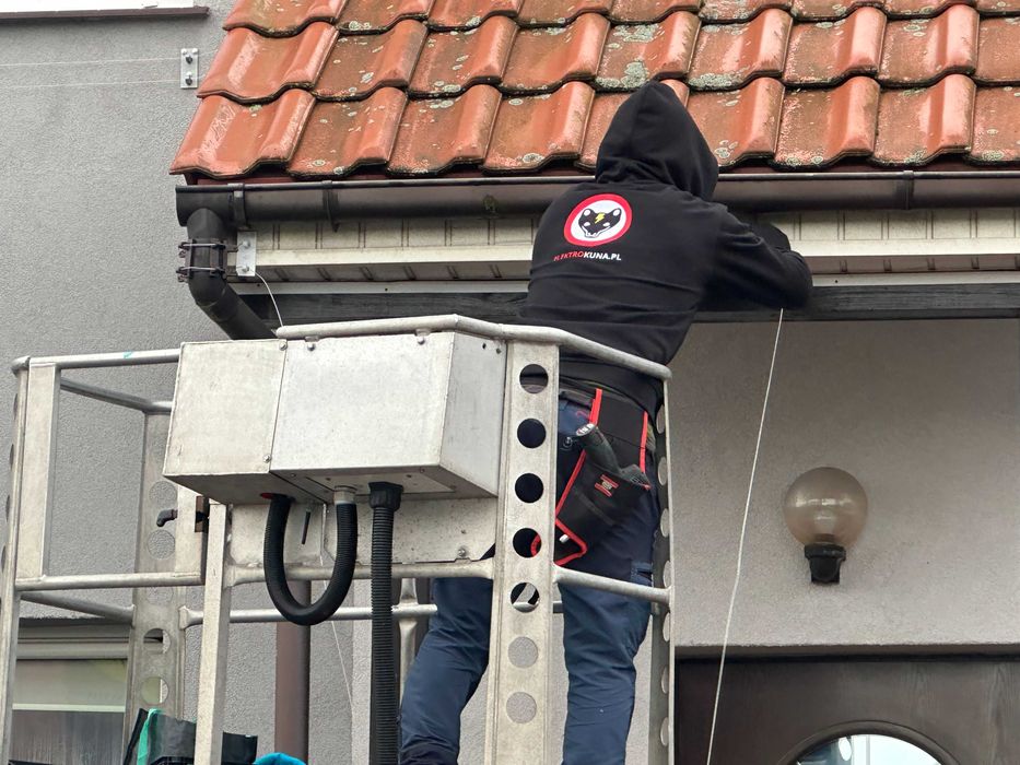 Kuna w domu? Pastuch elektryczny na kuny - montaż gwarancja I Szczecin