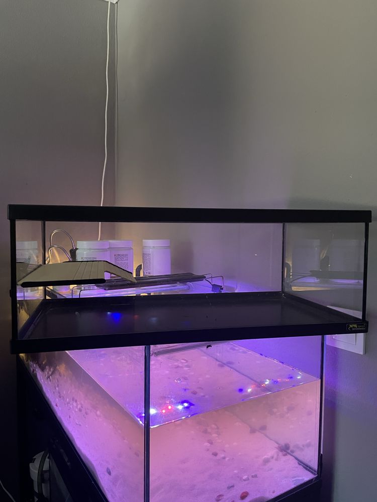 Aquario para tartaruga