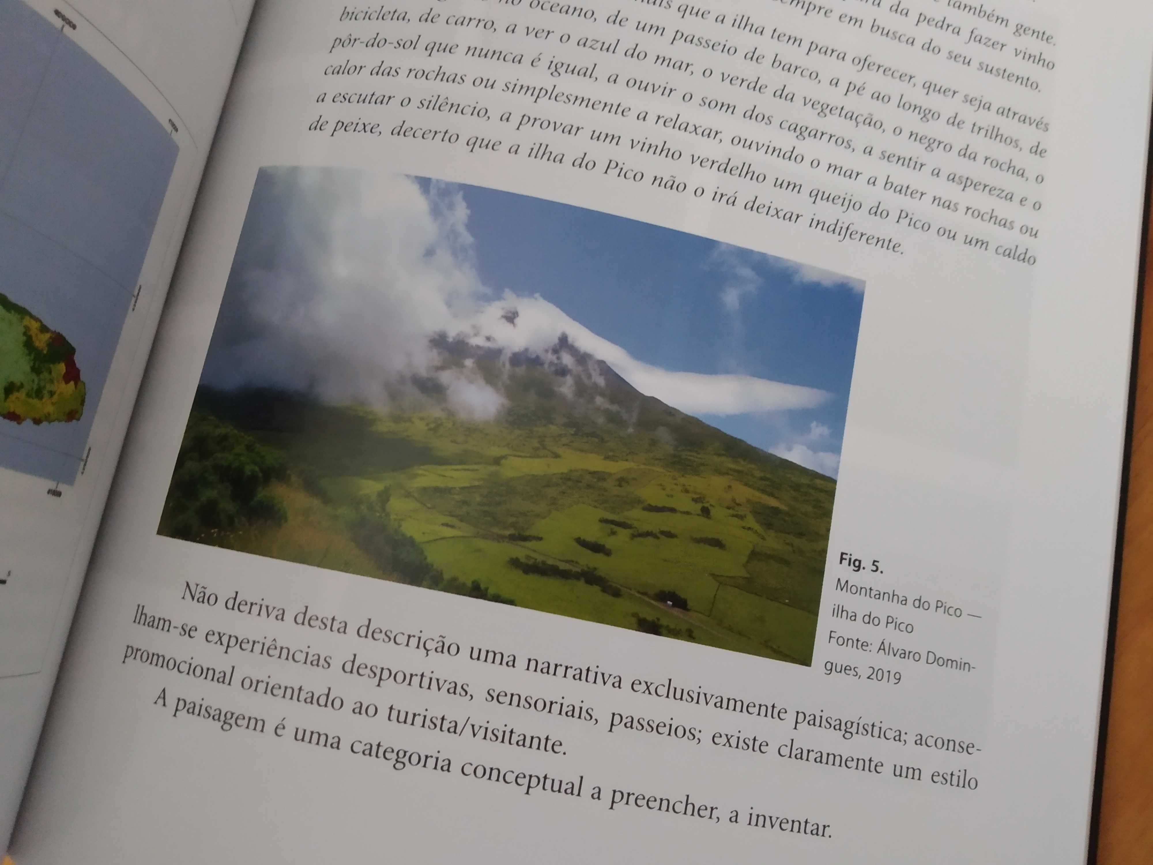 (NOVO, PORTES GRÁTIS) Paisagem da Cultura da Vinha do Pico e do Douro