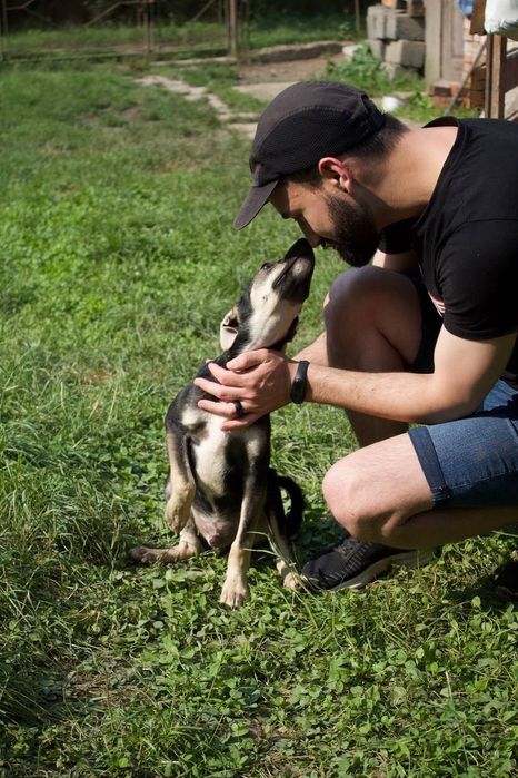 Собака Річі шукає родину