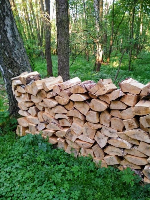 Drewno brzoza kominkowe, opałowe 320 zł m³