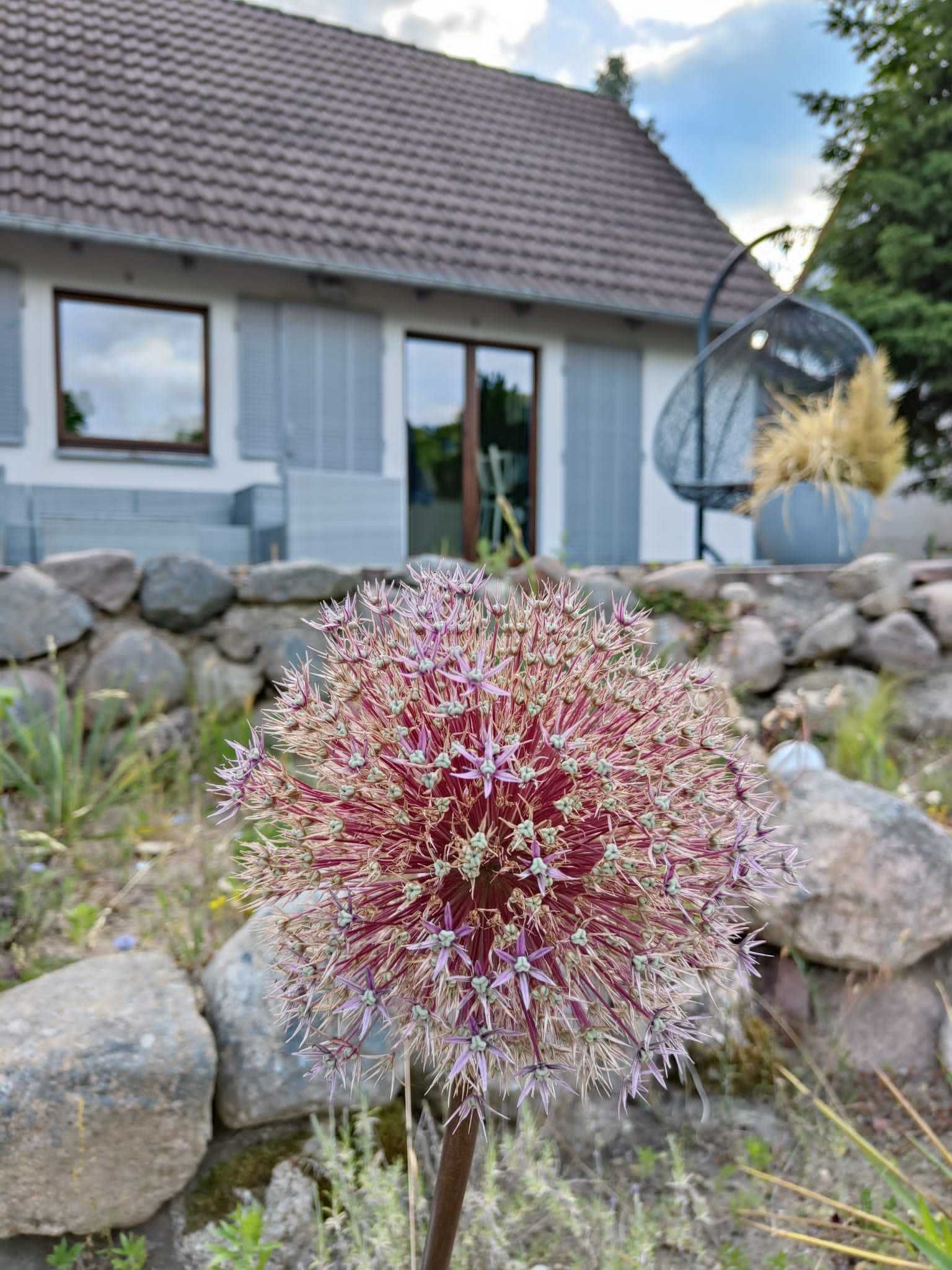 Dom nad jeziorem Niesłysz z ogrodem w pierwszej linii brzegowej