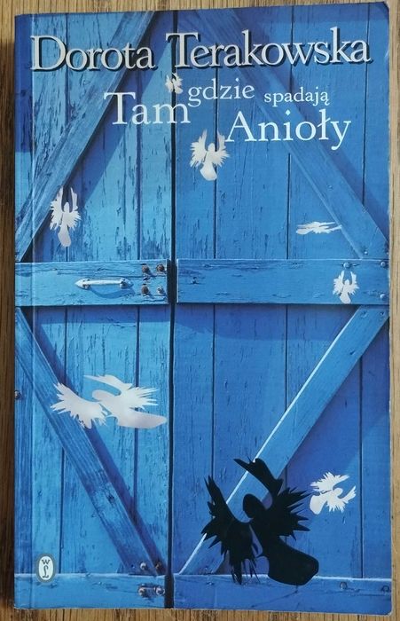 Tam gdzie spadają Anioły - Dorota Terakowska.