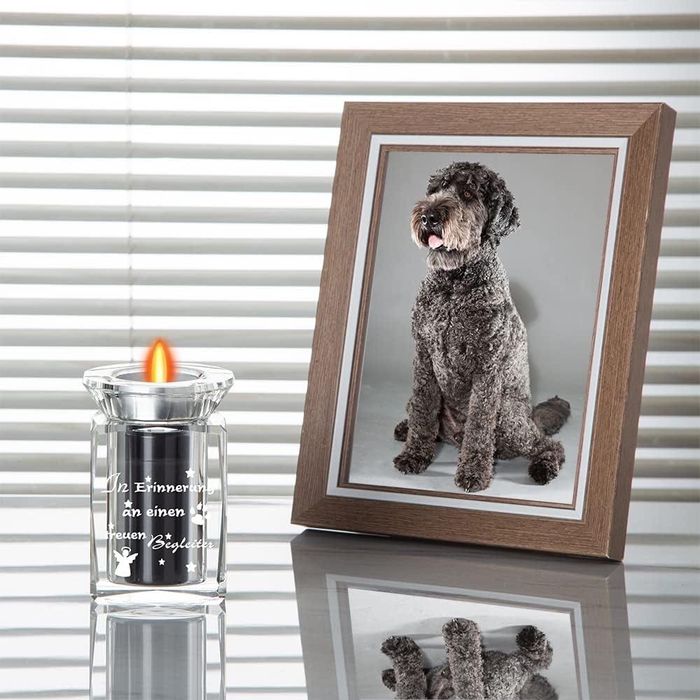 Crystal Memorial – elegancka urna dla zwierząt domowych z LED.