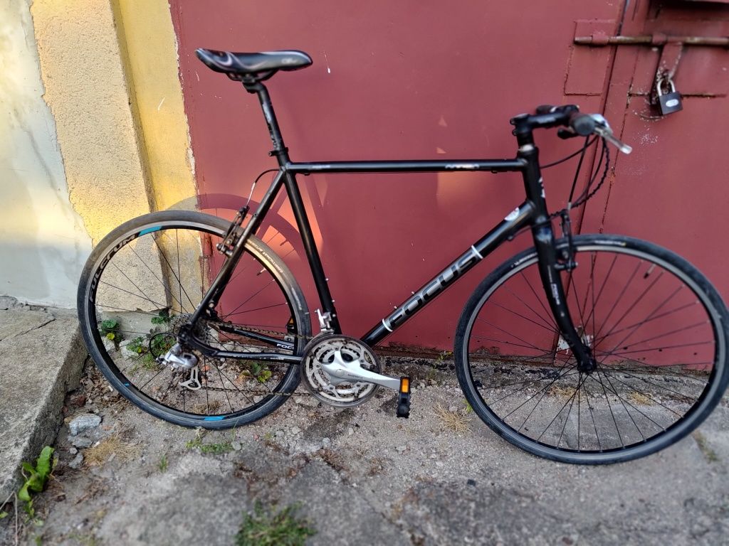 Rower FOCUS ARRIBA L / XL koło 28