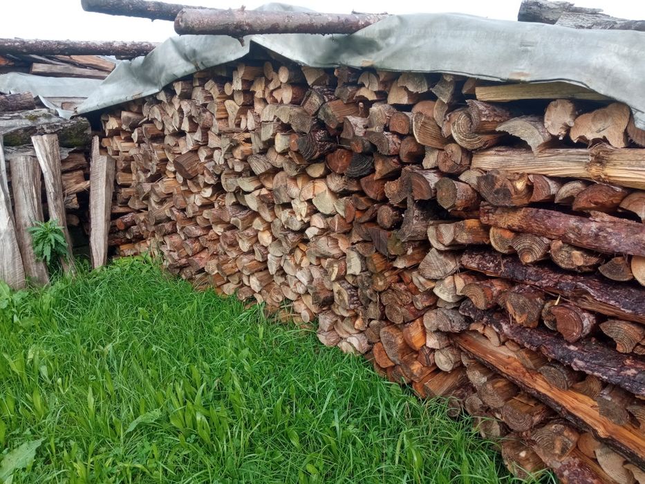 Drewno opałowe miękkie suche.