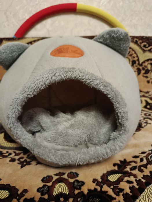 Будинок для кота