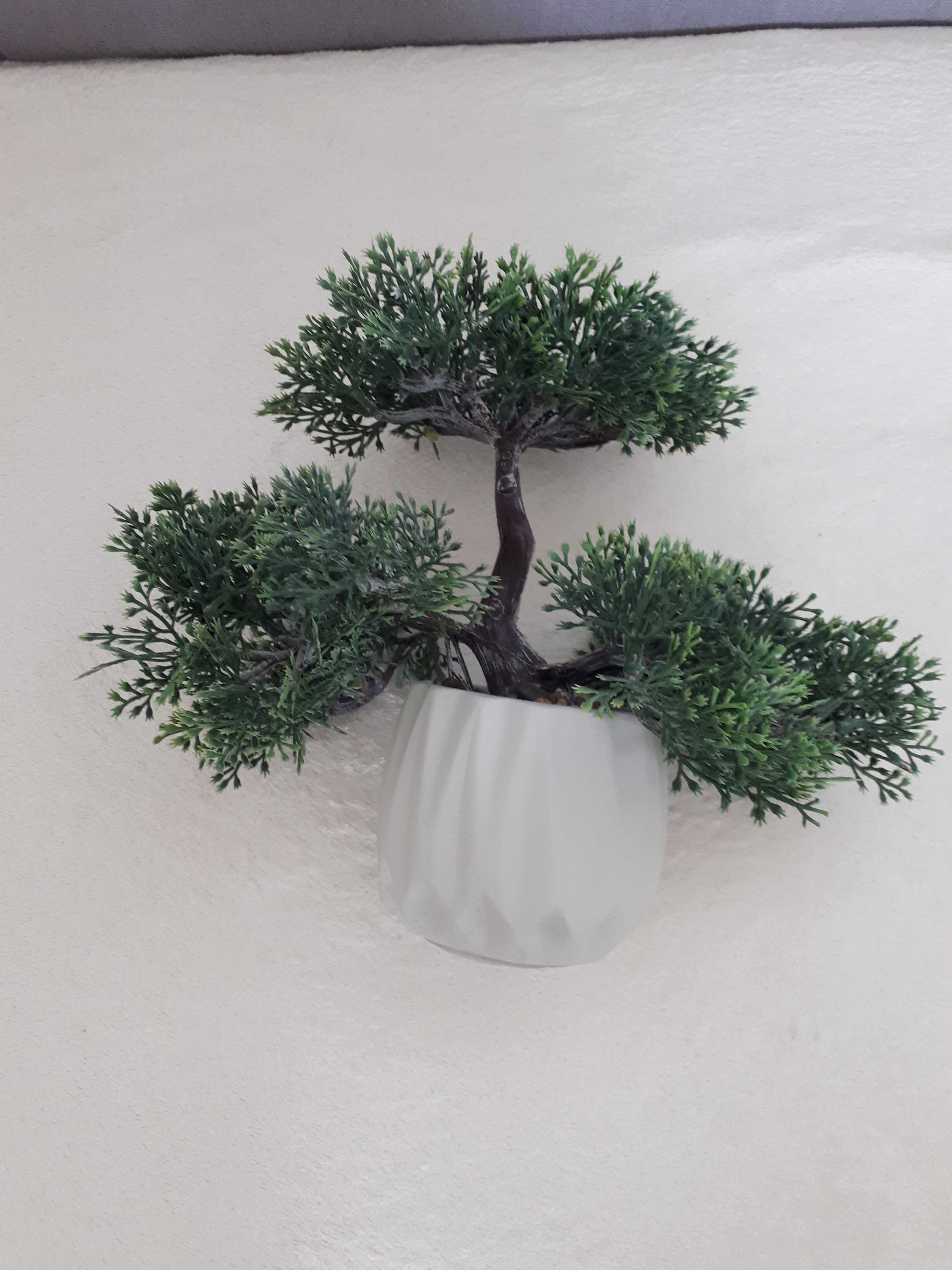 Drzewko Bonsai ( Sztuczne)