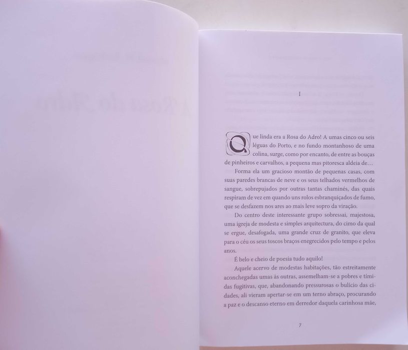 Manuel Maria Rodrigues  - - - A Rosa do Adro - - - - Livro