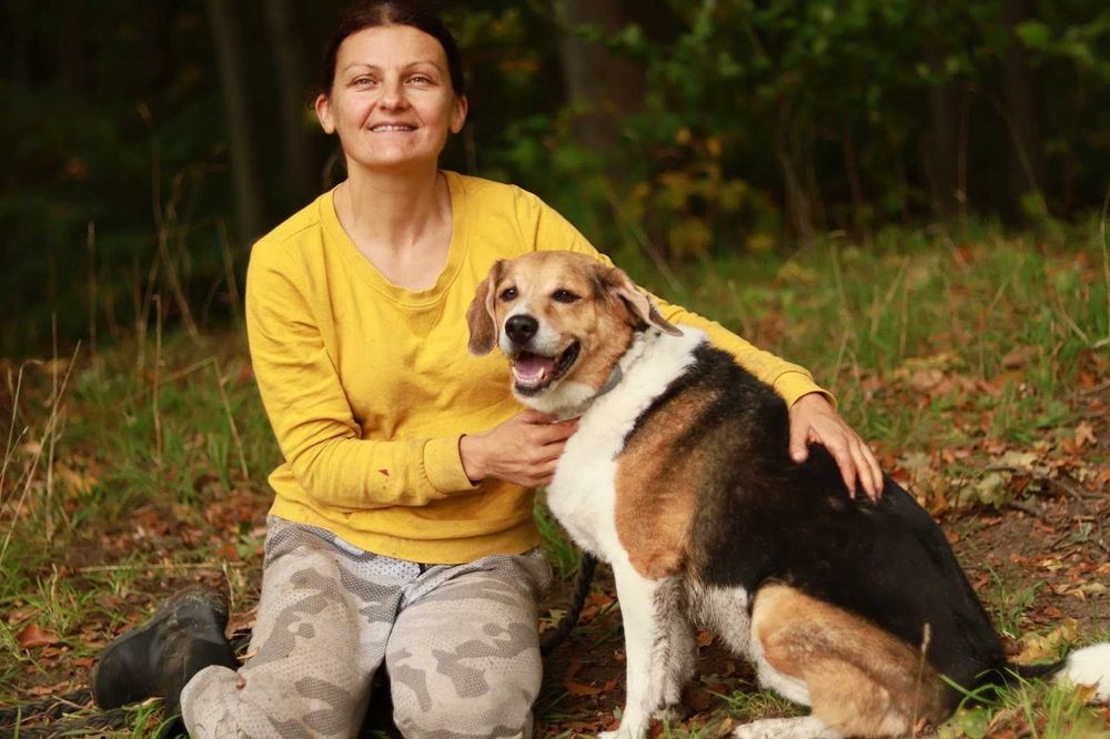 MORIS - bardzo łagodny, miły, mix beagla.[FILMIKI]